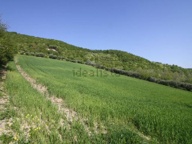 Terreno in vendita di 600000 m² in Via Gaibola