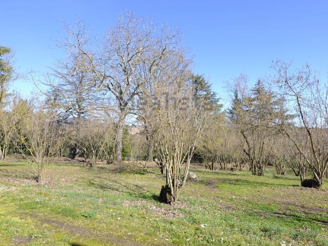 Terreno in vendita di 60000 m² in Via della Trinita&apos