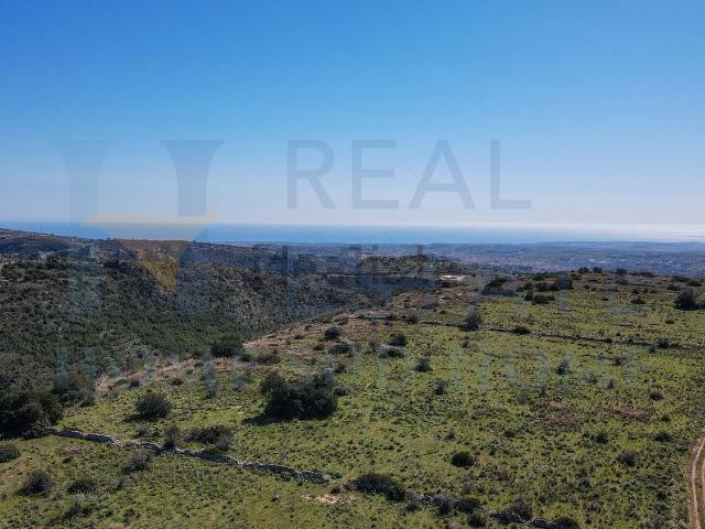 Terreno in vendita di 48000 m² in Contrada Cugno Vasco, 1