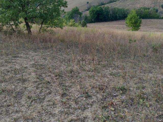 Terreno in vendita di 60000 m² in Contrada Morazzano