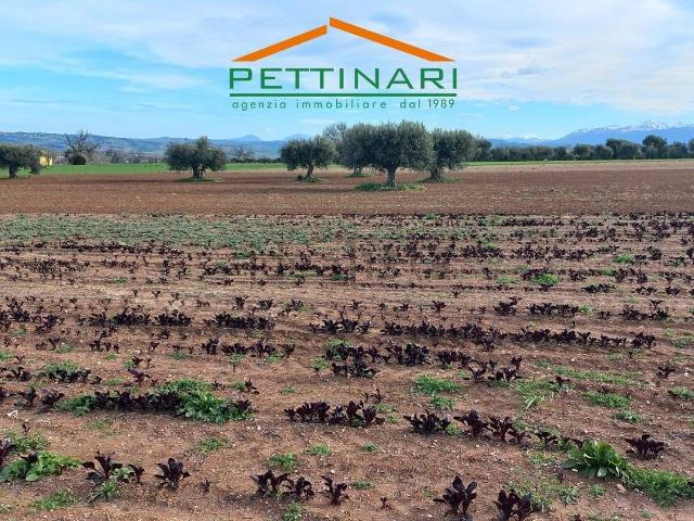 Terreno in vendita di 60000 m² in Contrada San Carlo