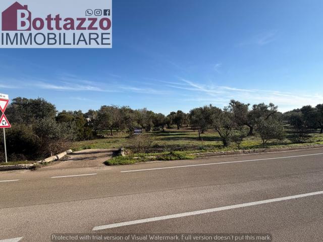 Terreno in vendita di 6000 m² in Strada Provinciale 131