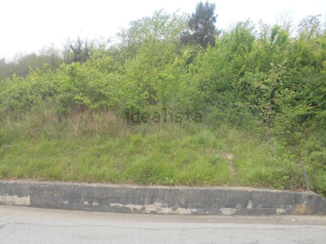 Terreno in vendita di 6000 m² in Strada provinciale
