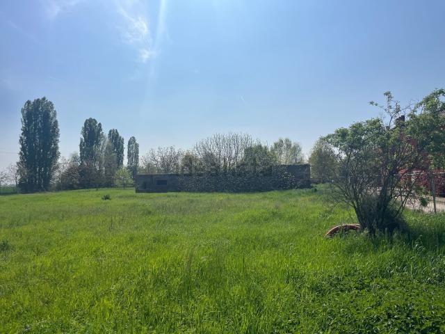 Terreno in vendita di 6000 m² in Via Casoni, 1858