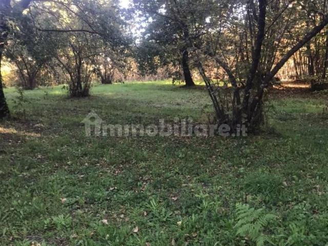Terreno in vendita di 6000 m² in Via Cupa del Forno