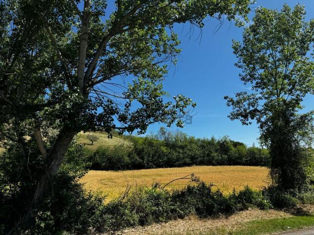 Terreno in vendita di 6000 m² in Via Cupello