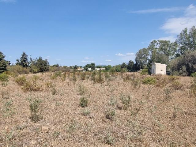 Terreno in vendita di 6000 m² in Via Dell&apos autonomia Regionale Sarda, 65