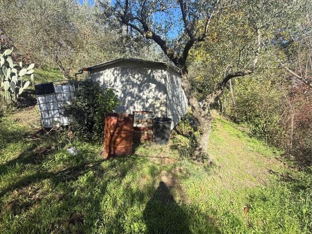 Terreno in vendita di 6000 m² in Via festola