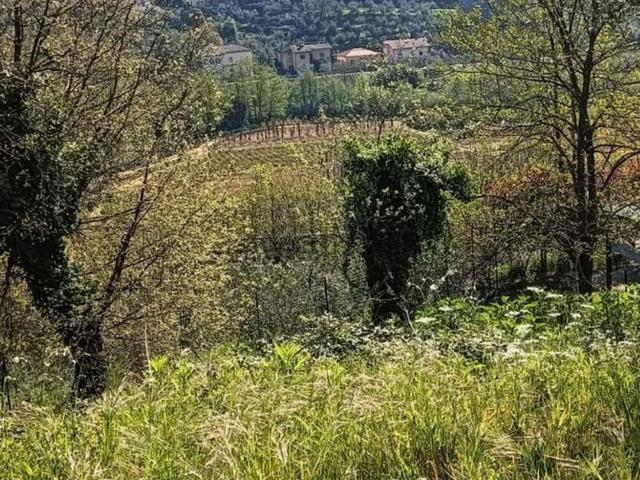 Terreno in vendita di 6000 m² in Via Palazzi
