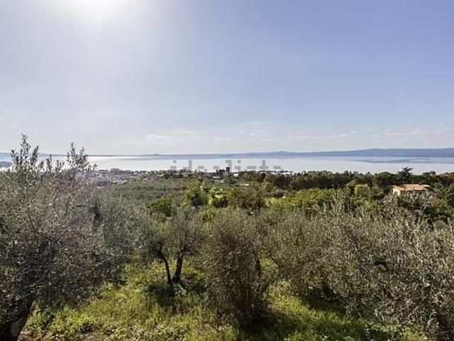 Terreno in vendita di 6000 m²