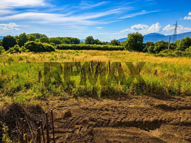 Terreno in vendita di 6000 m²