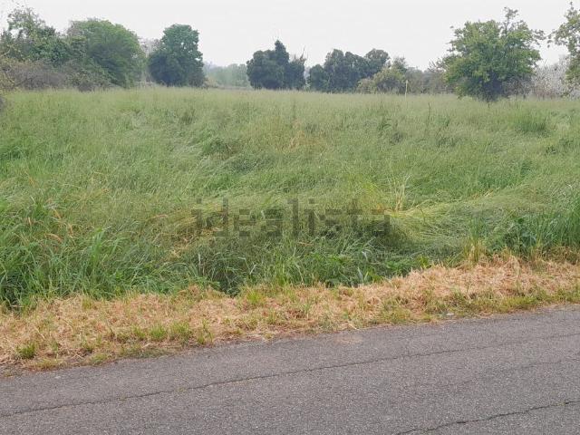 Terreno in vendita di 6000 m²