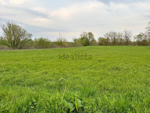 Terreno in vendita di 6000 m²