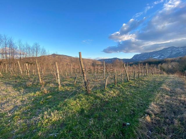Terreno in vendita di 6000 m²