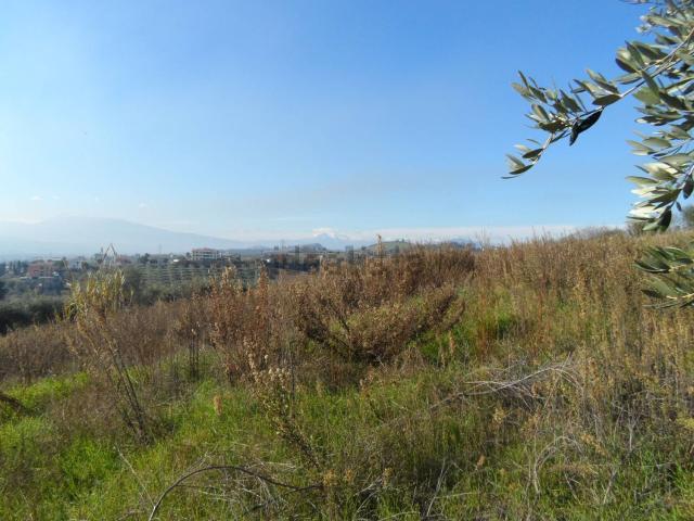 Terreno in vendita di 600 m² in Contrada San Donato