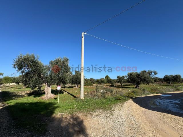 Terreno in vendita di 6021 m² in Via degli Ulivi