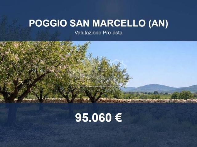 Terreno in vendita di 60317 m² in Contrada Gioncare