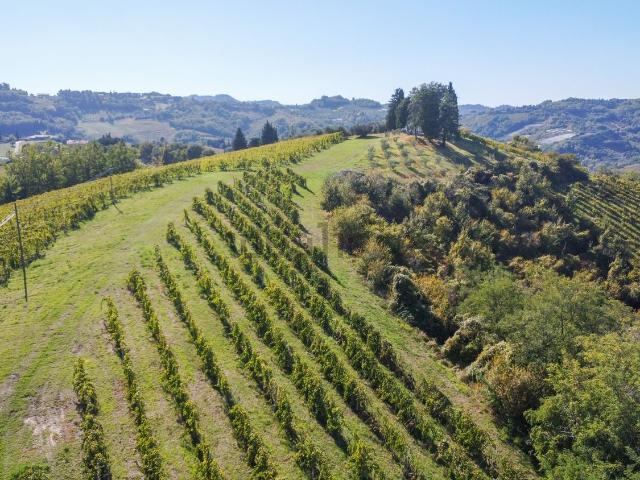 Terreno in vendita di 60349 m² in Via Madonna dell&apos Olivo, 4000