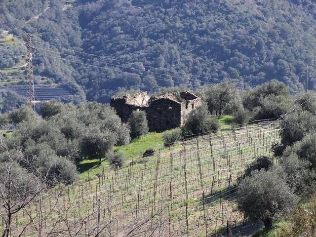 Terreno in vendita di 60 m²