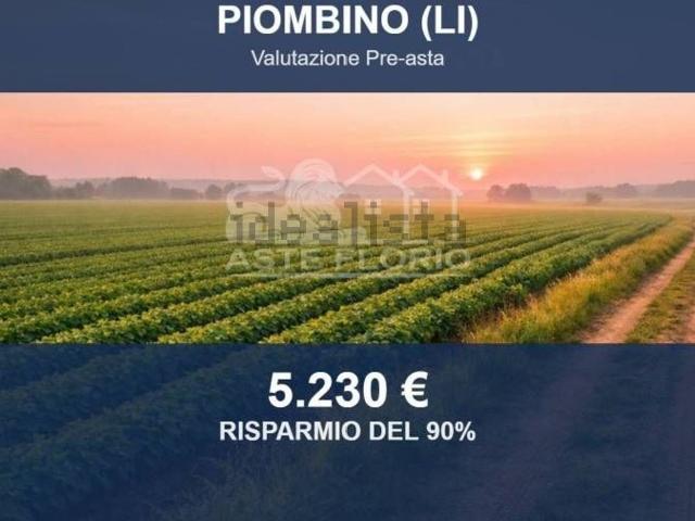 Terreno in vendita di 60 m² in Via Paolo Vannucci, 10