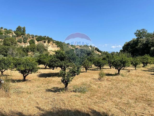 Terreno in vendita di 61275 m² in Contrada Conicella