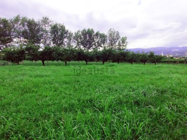 Terreno in vendita di 6130 m² in Via Corso