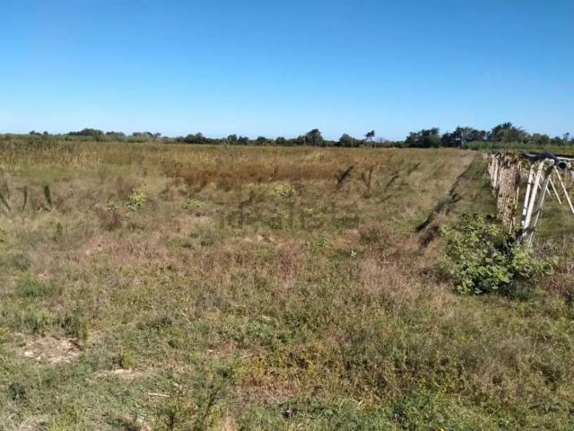 Terreno in vendita di 61360 m² in Strada privata