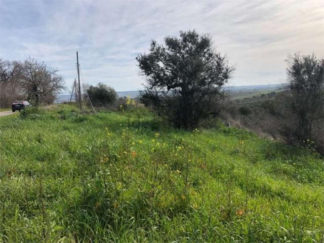 Terreno in vendita di 62431 m² in Strada Provinciale 136