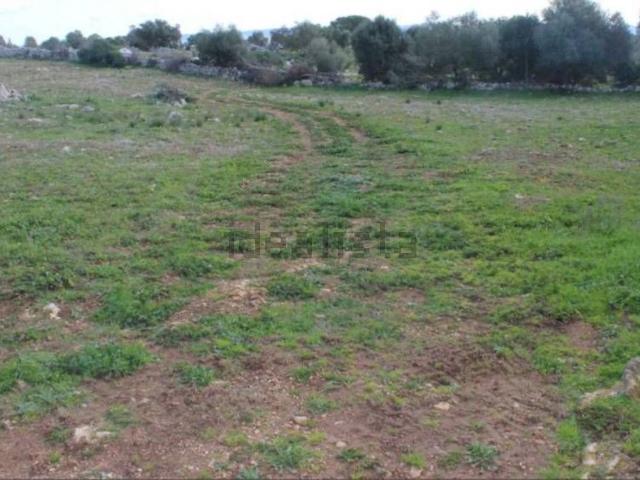 Terreno in vendita di 62707 m² in Contrada San Calogero