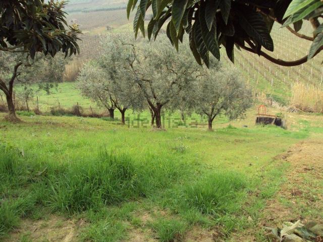 Terreno in vendita di 6200 m² in Contrada 2 valloni