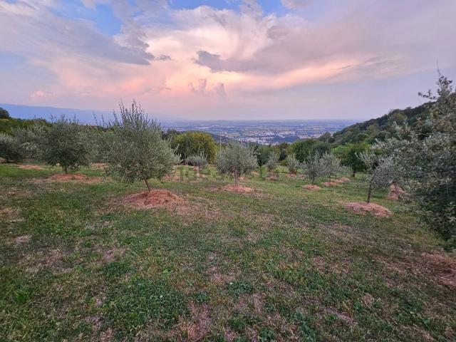 Terreno in vendita di 6200 m² in Via Cogolla Alta