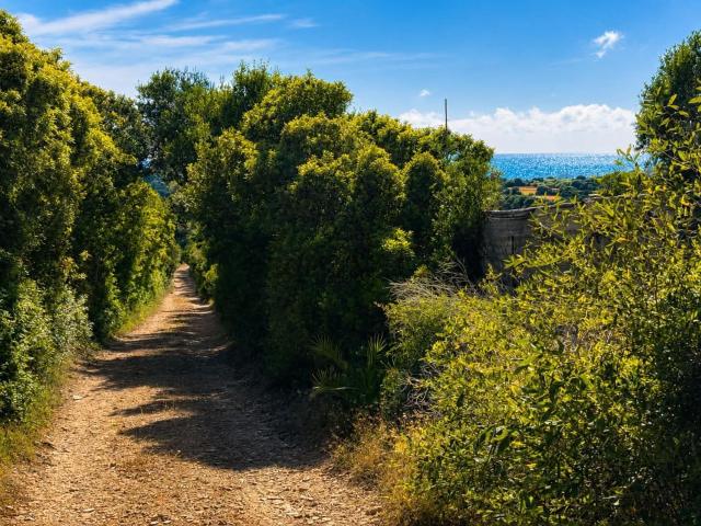 Terreno in vendita di 6212 m² in Vico IV Strada delle Piane, 2