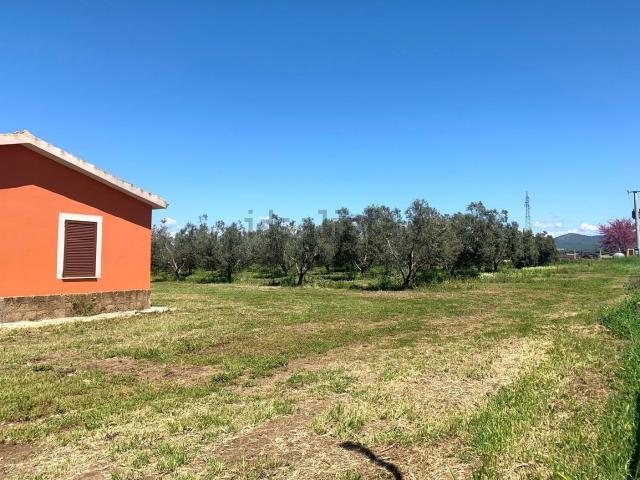 Terreno in vendita di 63000 m²