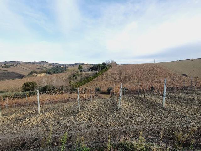 Terreno in vendita di 63000 m² in Contrada Forola