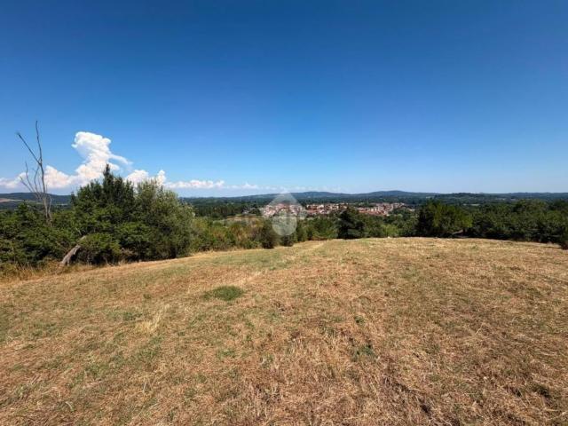 Terreno in vendita di 6300 m² in Località Monte dell&apos Impresa