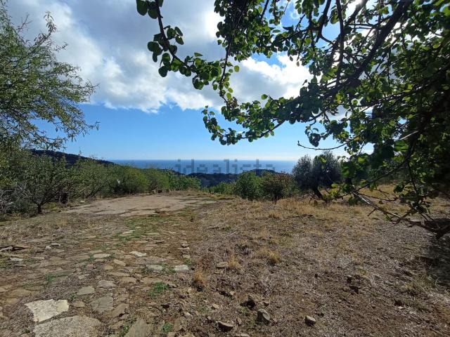 Terreno in vendita di 6320 m² in Contrada Stoppello