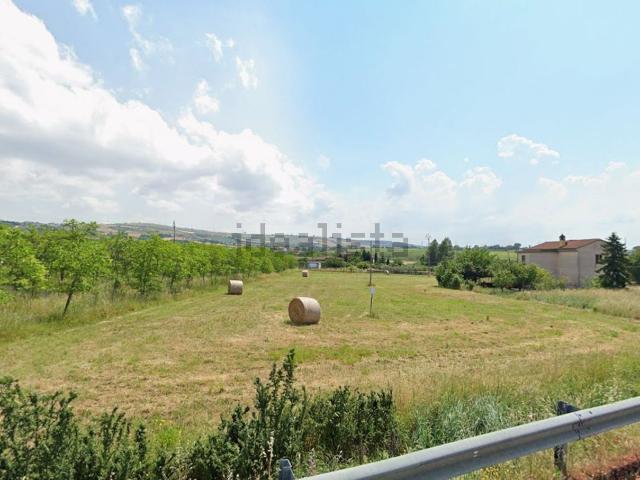 Terreno in vendita di 6445 m² in Contrada Olivola