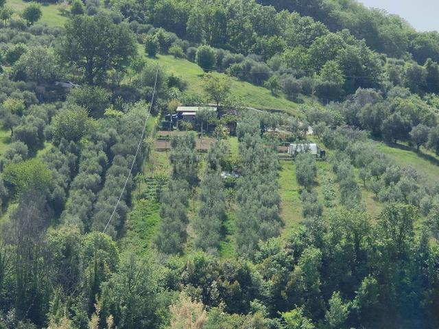 Terreno in vendita di 6480 m² in Via Padre Francesco Angellotti