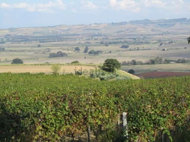 Terreno in vendita di 64000 m² in Contrada Pocavizio