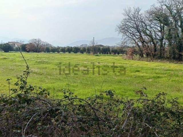 Terreno in vendita di 6420 m² in Via Pianello