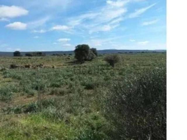 Terreno in vendita di 64291 m² in Località Mitza Manna