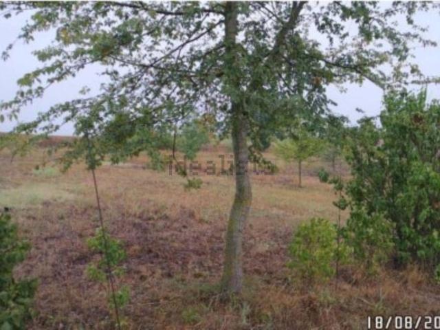 Terreno in vendita di 64380 m² in Strada Vicinale del Castellino