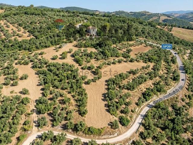Terreno in vendita di 65445 m² in Strada Provinciale 39