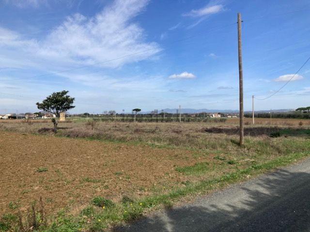 Terreno in vendita di 65615 m²