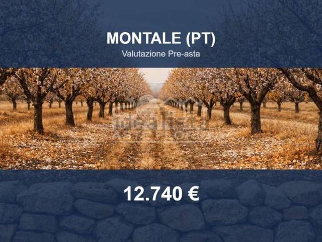 Terreno in vendita di 65990 m² in Vicolo di Marzolo