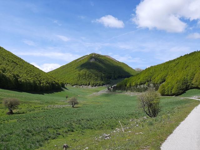 Terreno in vendita di 6500000 m² in Piazza cattedrale, 16