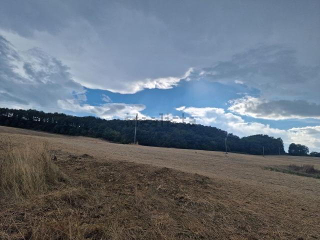 Terreno in vendita di 650000 m²