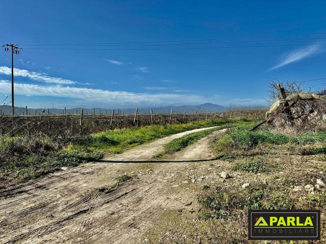 Terreno in vendita di 65000 m² in Contrada Grottarossa