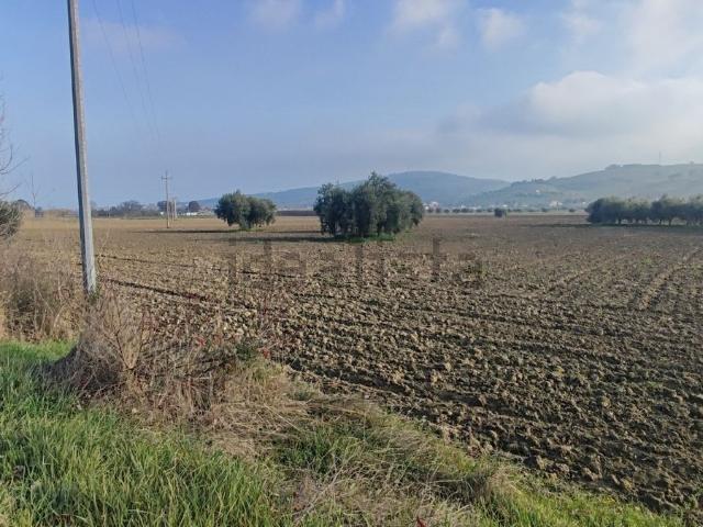 Terreno in vendita di 65000 m² in Contrada Piane Vomano