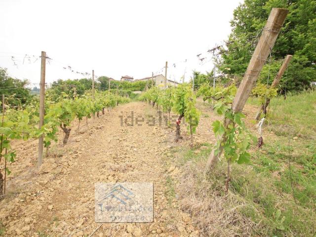 Terreno in vendita di 65000 m² in Frazione Mossabella